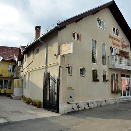 Pensiunea La Palaguta Baia Mare Exterior foto
