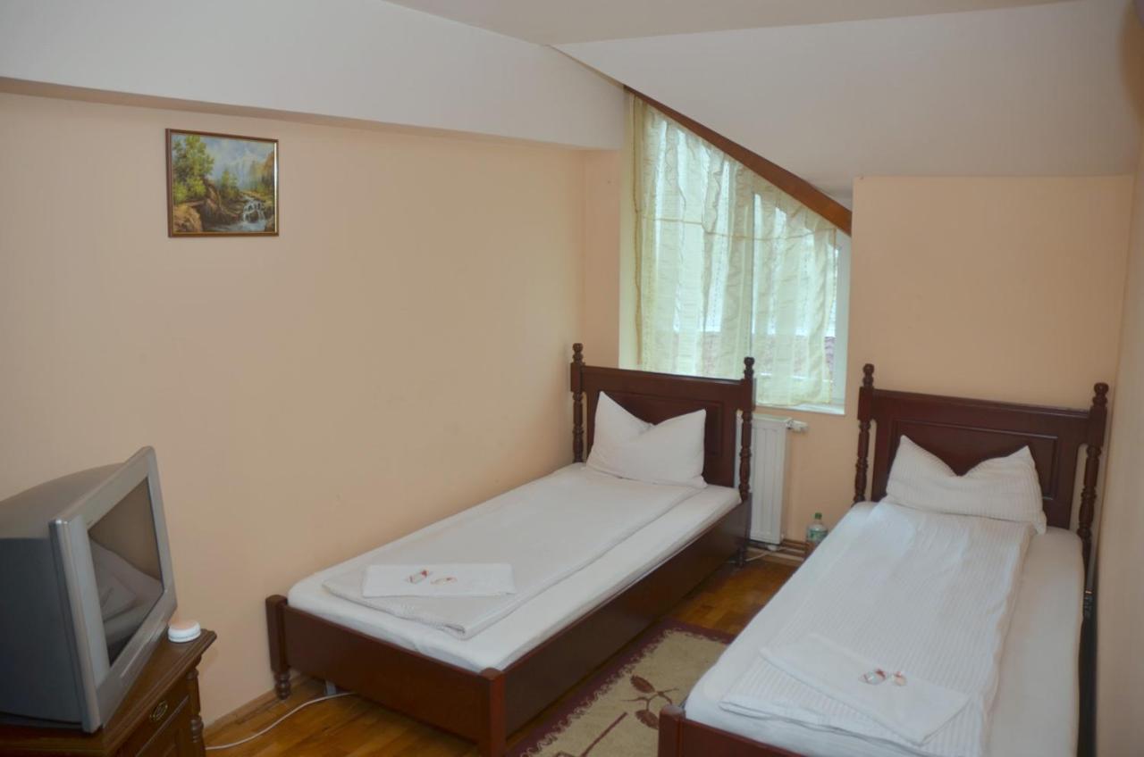 Pensiunea La Palaguta Baia Mare Exterior foto