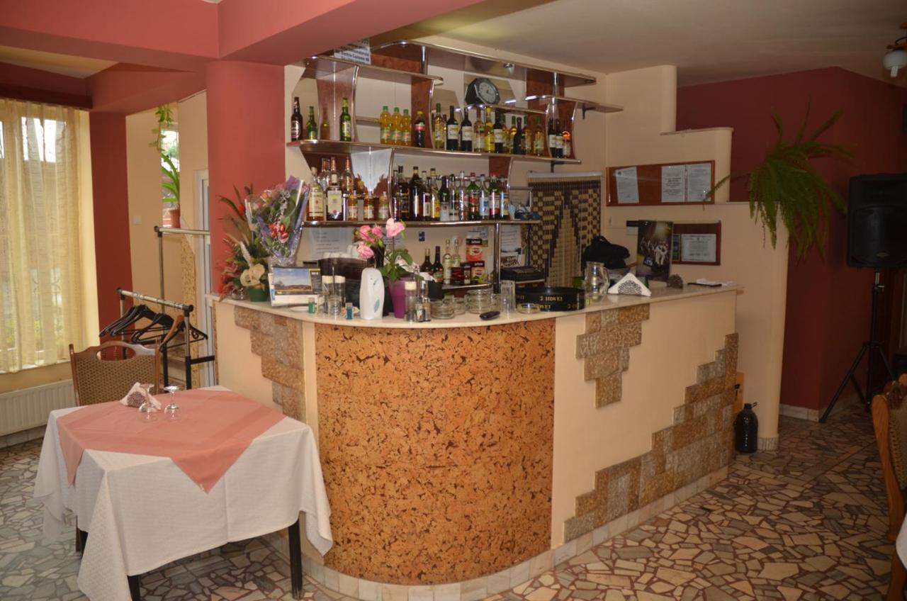 Pensiunea La Palaguta Baia Mare Exterior foto