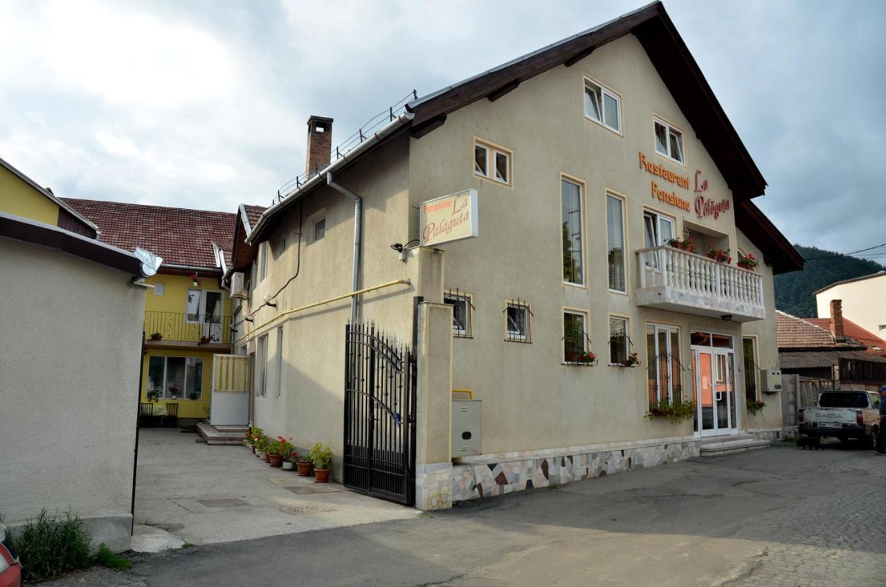 Pensiunea La Palaguta Baia Mare Exterior foto