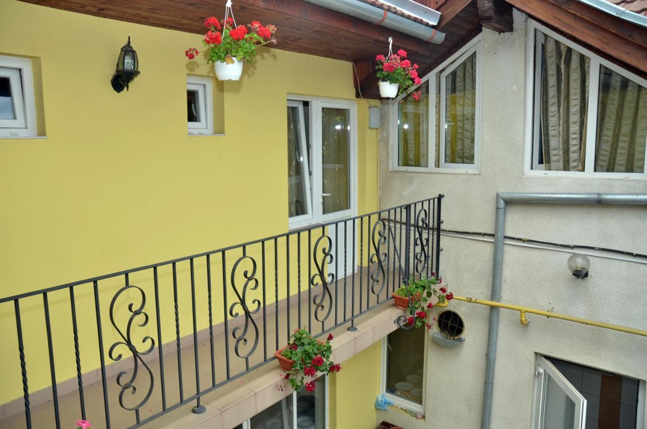 Pensiunea La Palaguta Baia Mare Exterior foto