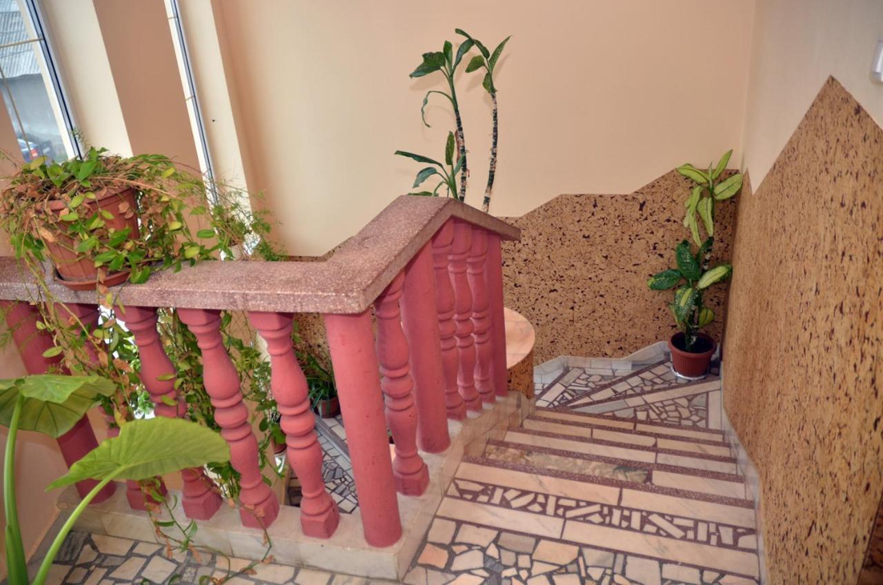 Pensiunea La Palaguta Baia Mare Exterior foto