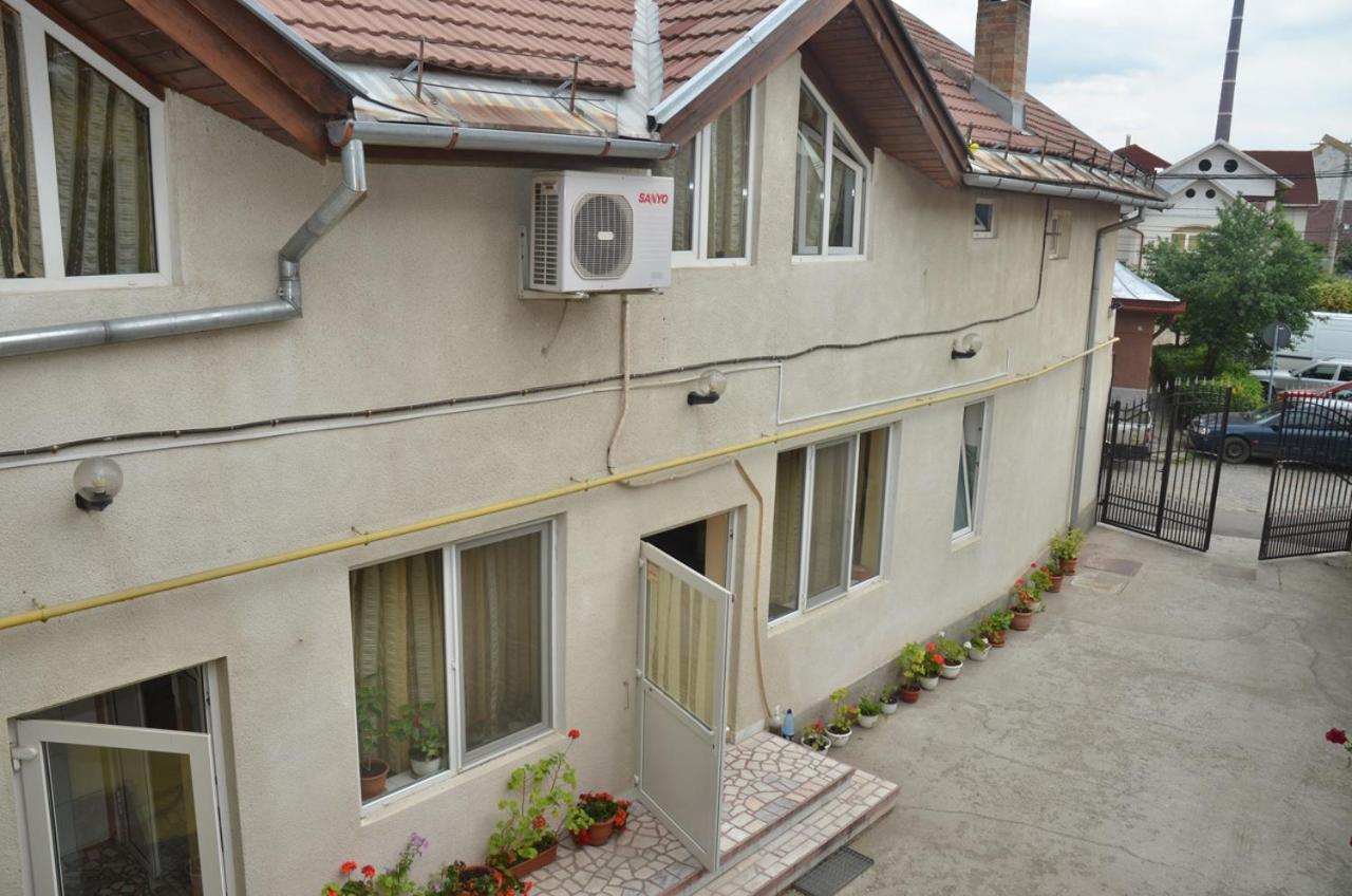 Pensiunea La Palaguta Baia Mare Exterior foto