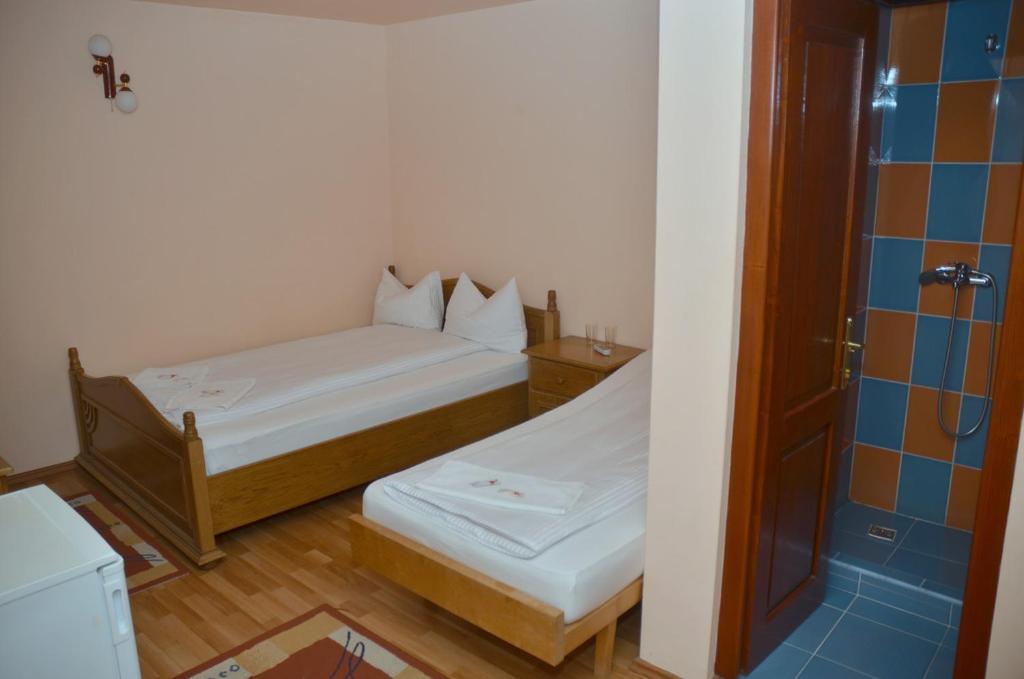 Pensiunea La Palaguta Baia Mare Quarto foto