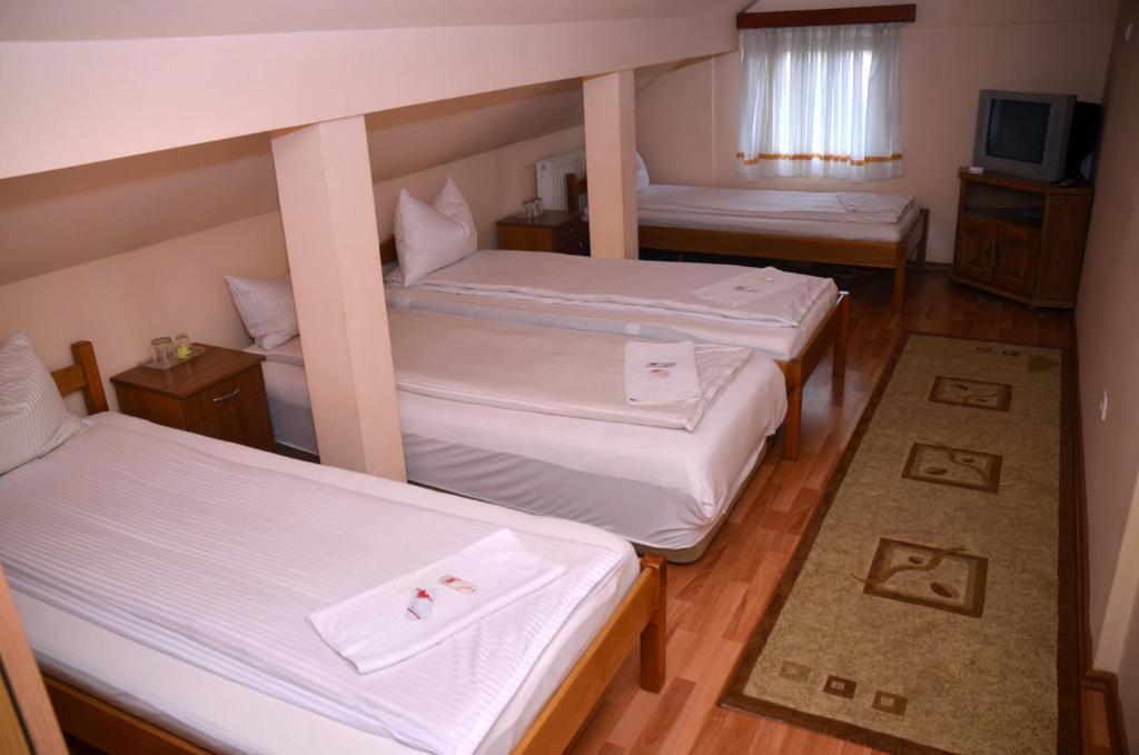 Pensiunea La Palaguta Baia Mare Quarto foto
