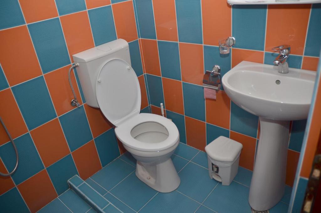 Pensiunea La Palaguta Baia Mare Quarto foto